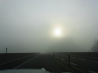 朝霧と朝日。前が見えません(T∇T) 