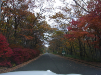 ハイランドパーク近くの別荘地。紅葉が綺麗
