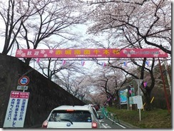 DSCF3141