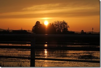 IMG_1859