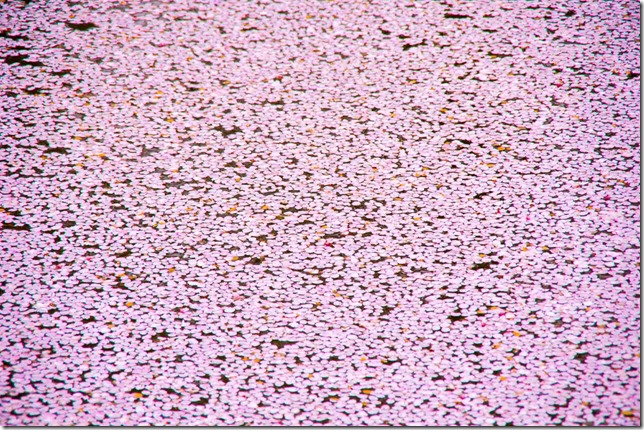 K_3_1480