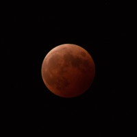 moon.jpg